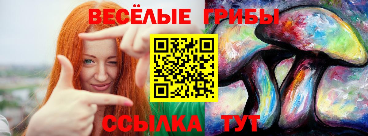 MDMA  Гашиш  Купить наркотик  Вход с VPN  Alpha-PVP СК   Меф кристаллы  Меф МЯУ МЯУ  Метамфетамин  Экстази  Cocaine  Арсеньев  Каннабис 