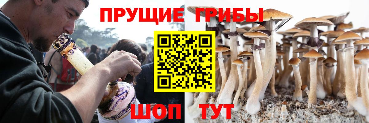 Псилоцибиновые грибы MAGIC MUSHROOMS Арсеньев